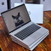 لپتاپ HP ProBook 445 G8 با پردازنده Ryzen 55600U